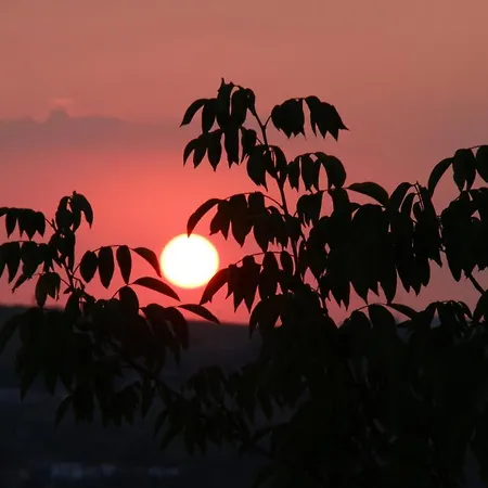 Szent Ivan Apartament